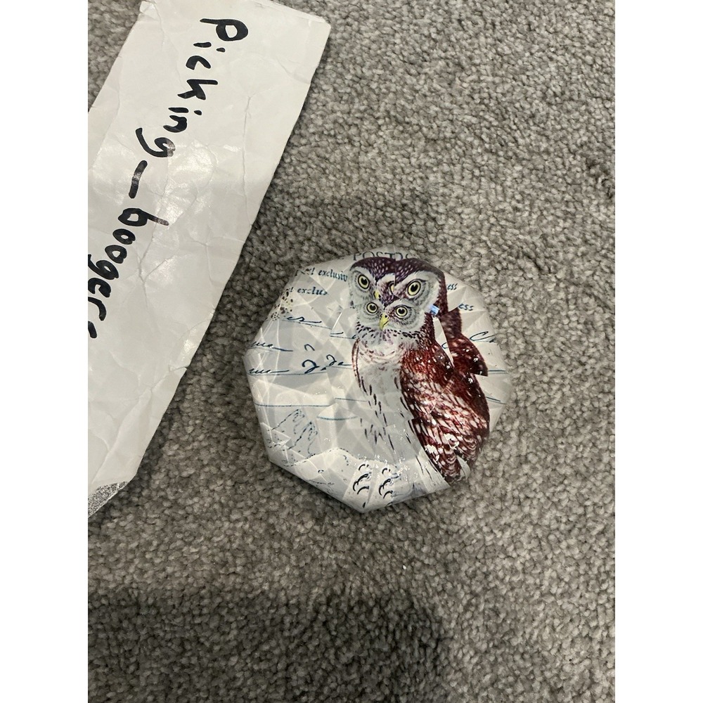 Octagon Faceted Shaped Paperweight With Owl Inside